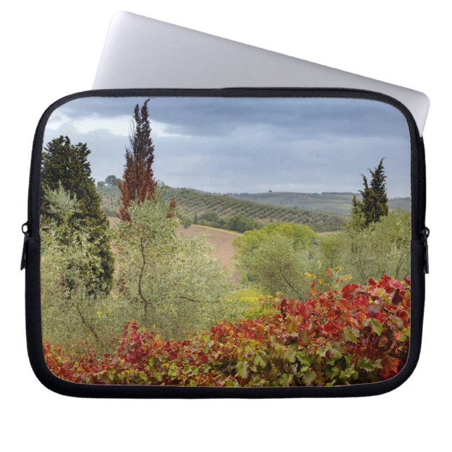 Vineyard near Montalcino, Tuscany, Italy Laptop Sleeve (Front)