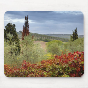 Vineyard near Montalcino, Tuscany, Italy Mouse Pad