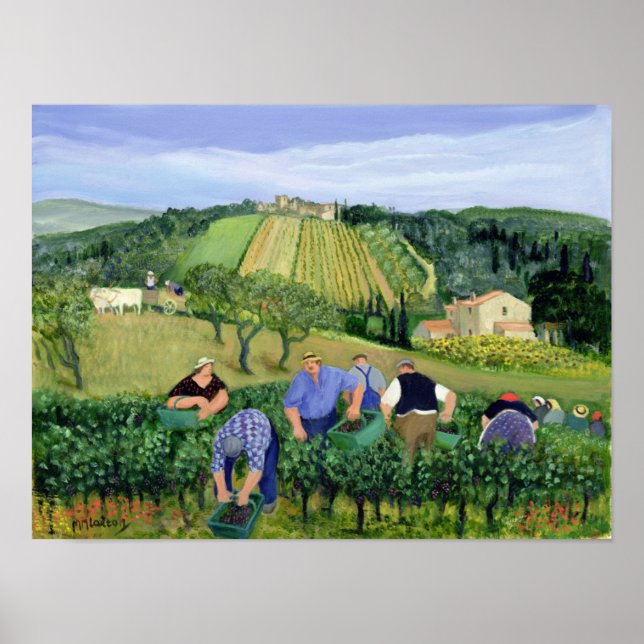 Vineyard Olives and Sunflowers Poster (Front)