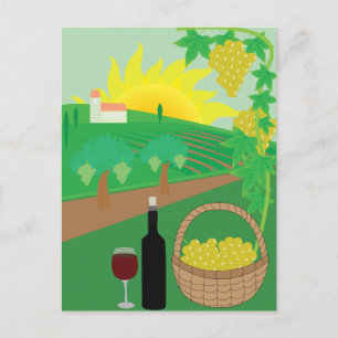 Vineyard Postcard