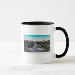 Vineyard Scene of Grapes DryingKingsburg, CA Mug
