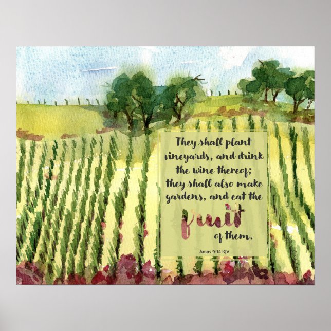 Vineyard Scripture Amos Wine Grapes Watercolor Poster (Front)