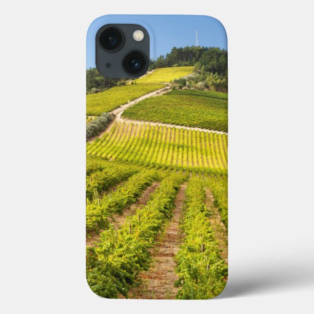 Vineyard, Stellenbosch, Western Cape Case-Mate iPhone Case (Back)