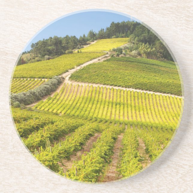 Vineyard, Stellenbosch, Western Cape Coaster (Front)