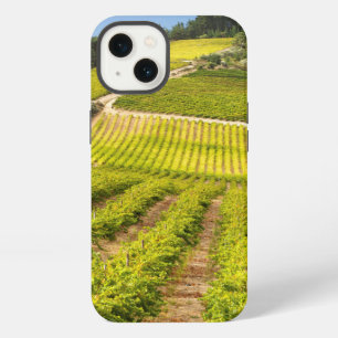 Vineyard, Stellenbosch, Western Cape iPhone Case