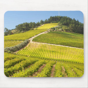 Vineyard, Stellenbosch, Western Cape Mouse Pad