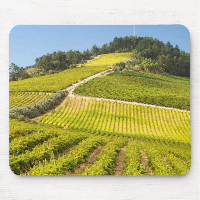 Vineyard, Stellenbosch, Western Cape Mouse Pad (Front)