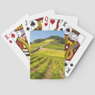 Vineyard, Stellenbosch, Western Cape Playing Cards