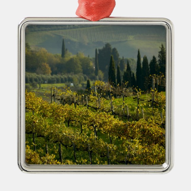 Vineyard, Tuscany, Italy Metal Ornament (Front)
