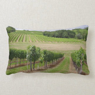 Vineyard - Vineyard (Bordeaux - France) 03 Lumbar Cushion