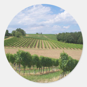 Vineyard - Vineyard (Bordeaux - France) 04 Classic Round Sticker