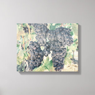 *~* Vineyard Winery Grape Cluster AR21 Wine Cellar Canvas Print