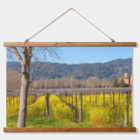 Vineyard with Mustard Wildflowers in Spring