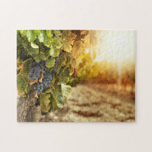 Vineyards At Sunset Jigsaw Puzzle