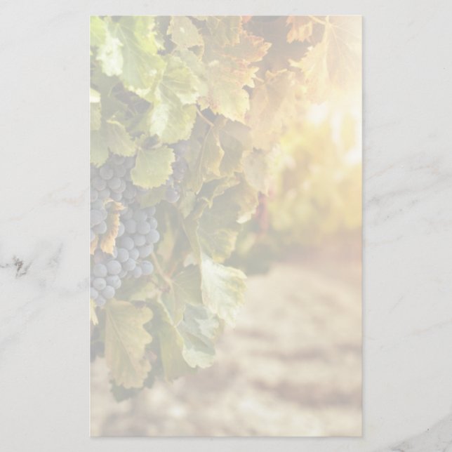 Vineyards At Sunset Stationery (Front)
