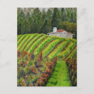 Vineyards in Healdsburg, CA Watercolor Post Card