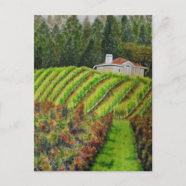 Vineyards in Healdsburg, CA Watercolor   Post Card (Front)