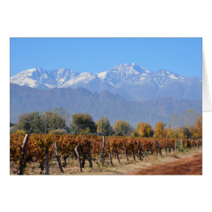 Vineyards In The Fall Of Mendoza, Argentina