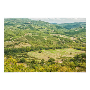 Vineyards landscapes in the morning in Chianti. Photo Print