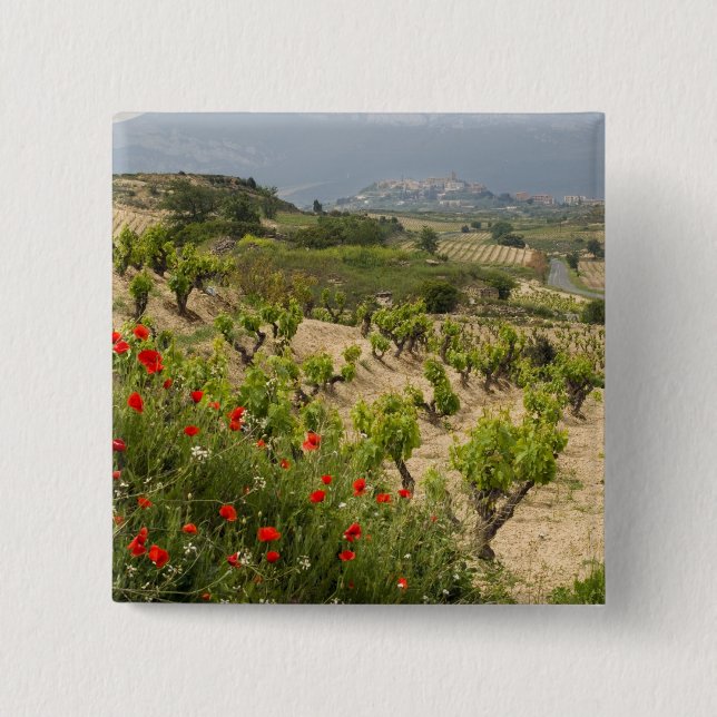 Vineyards near Laguardia, capital of La Rioja 15 Cm Square Badge (Front)
