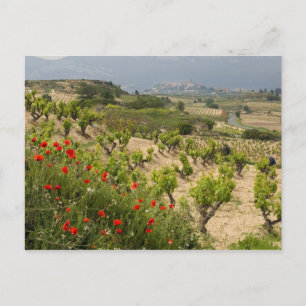 Vineyards near Laguardia, capital of La Rioja Postcard