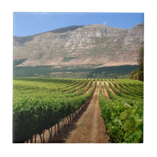 Vineyards Of Groot Constantia Wine Estate Ceramic Tile