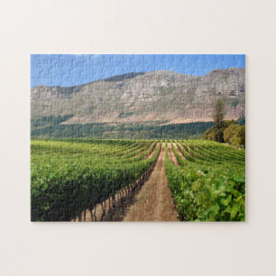 Vineyards Of Groot Constantia Wine Estate Jigsaw Puzzle