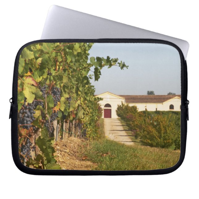 Vineyards, petit verdot vines and the winery in laptop sleeve (Front)