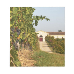 Vineyards, petit verdot vines and the winery in notepad
