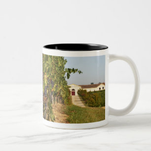 Vineyards, petit verdot vines and the winery in Two-Tone coffee mug