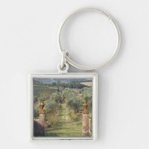 Vineyards, Tuscany, Italy Key Ring
