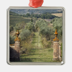 Vineyards, Tuscany, Italy Metal Ornament