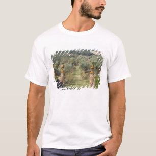 Vineyards, Tuscany, Italy T-Shirt