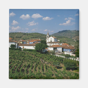 Vineyards, Village of San Miguel, Douro Magnet