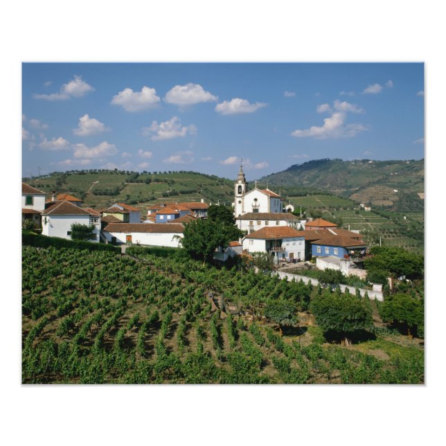 Vineyards, Village of San Miguel, Douro Photo Print (Front)