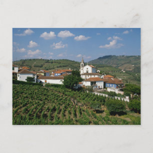 Vineyards, Village of San Miguel, Douro Postcard
