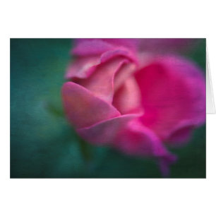 Vining Geranium Bud, Digitally Altered