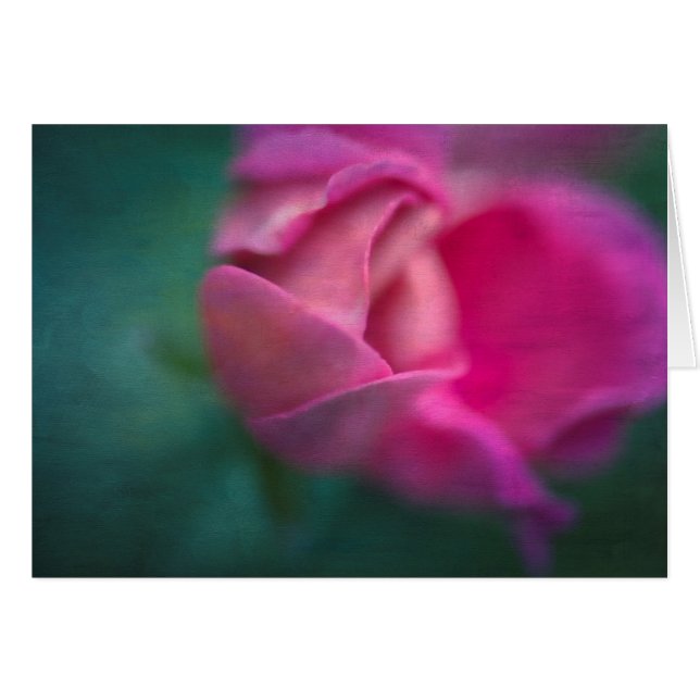 Vining Geranium Bud, Digitally Altered (Front Horizontal)