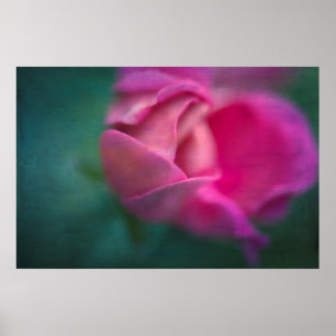 Vining Geranium Bud, Digitally Altered Poster