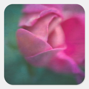 Vining Geranium Bud, Digitally Altered Square Sticker