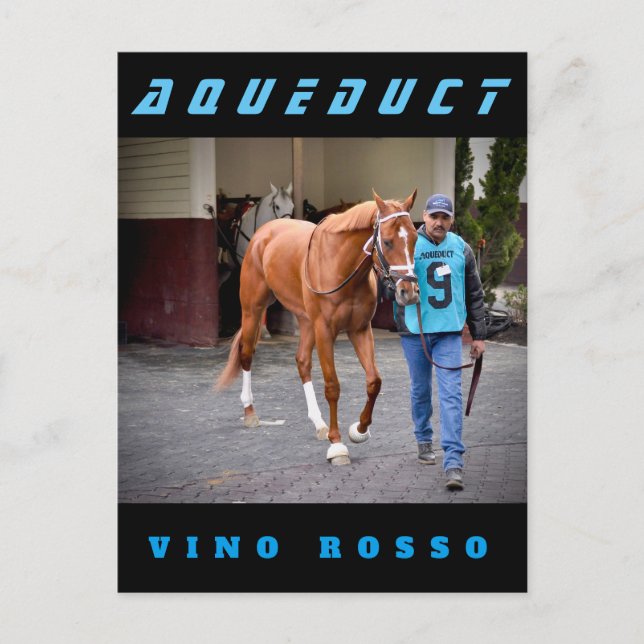 Vino Rosso - Paddock Postcard (Front)