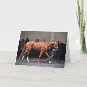 Vino Rosso - Todd Pletcher Card