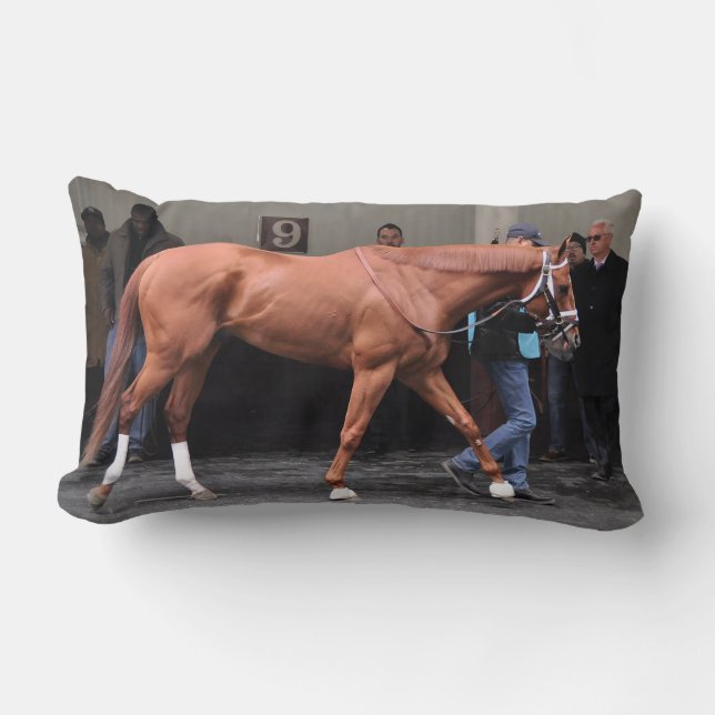 Vino Rosso - Todd Pletcher Lumbar Cushion (Front)