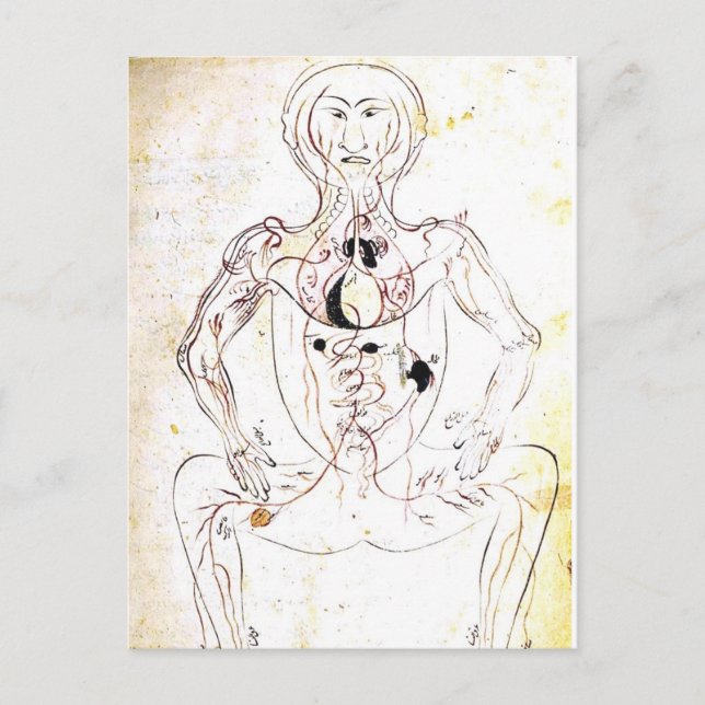 Vintage 13th Century Persian Medical Front Anatomy Postcard (Front)