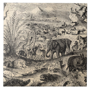Vintage 1800s African Animal Illustration Animals Ceramic Tile