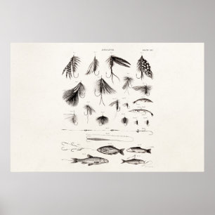 Vintage 1800s Angling Fly Fishing Flies Lures Lure Poster