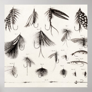 Vintage 1800s Angling Fly Fishing Flies Lures Lure Poster