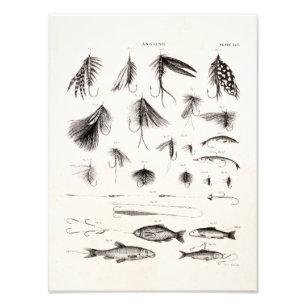 Vintage 1800s Angling Fly Fishing Flies Old Hooks Photo Print