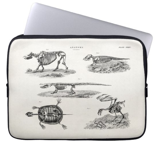 Vintage 1800s Animal Skeletons Antique Anatomy Laptop Sleeve