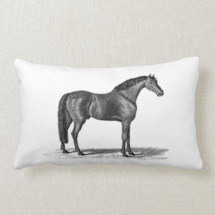 Vintage 1800s Arabian Horse Illustration - Horses Lumbar Cushion